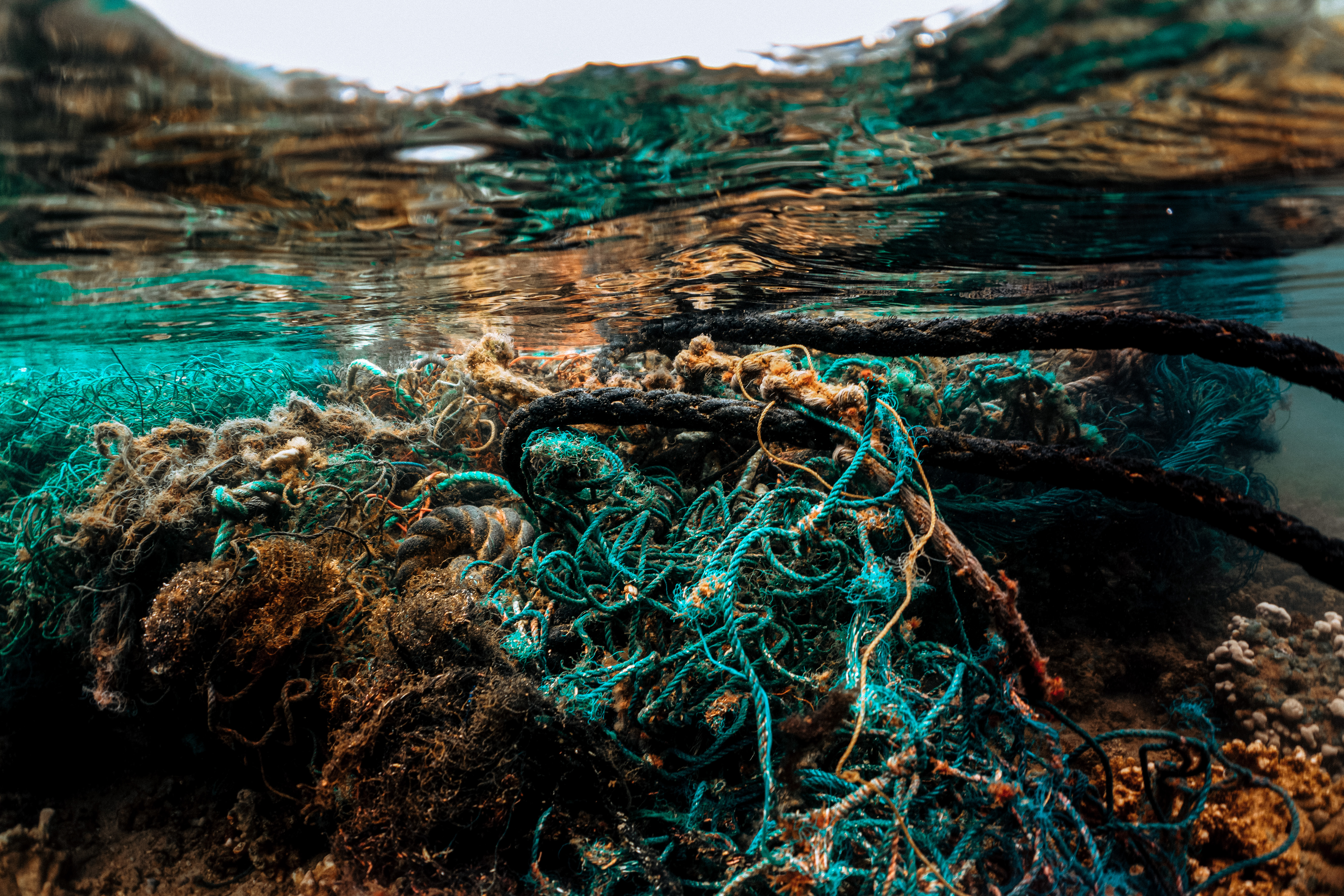 A large mass of derelict fishing gear snagged on coral in Kaneohe Bay.