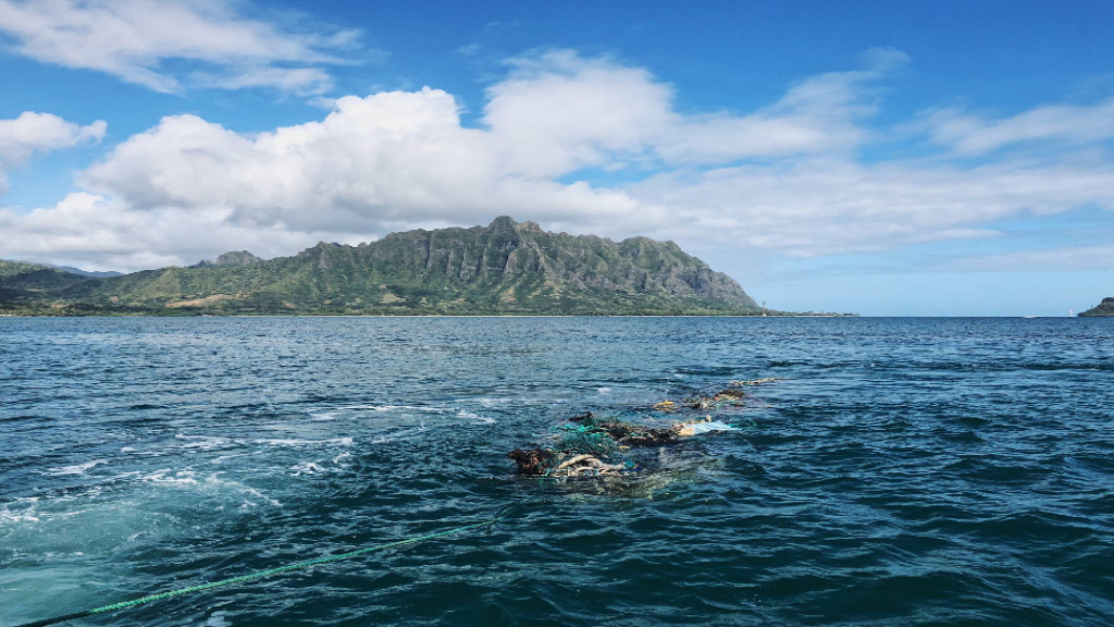 A conglomerate of derelict fishing gear is towed behind a boat in Kaneohe Bay, with the Ko'olau Mountains in the distance.